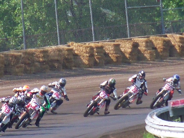 spring110M_217.jpg